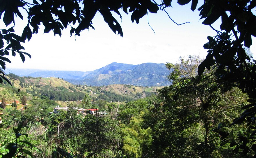 The view from Elena Biamon's coffee farm, Finca Gripiñas. Coffee has been grown on these hillsides for more than 150 years. Biamon and her husband, Miguel Sastre, bought the farm several years ago and now grow organic specialty coffee.