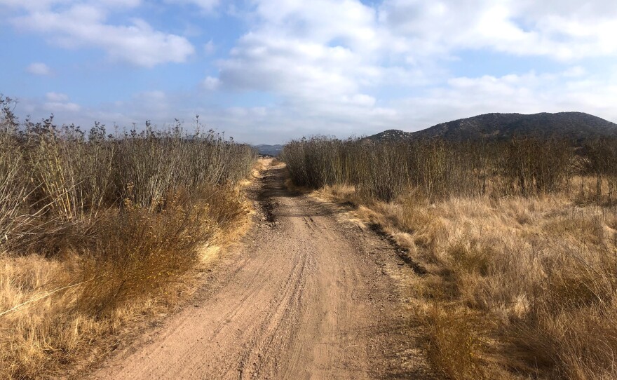 A trail in the vicinity of the proposed Fanita Ranch housing development. Santee, Calif. Oct. 10, 2020.