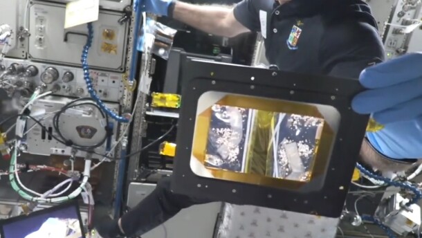 Astronaut Walter Villadei holds a sample of breast cancer in low-earth orbit to test an experimental inhibitor drug in this undated photograph