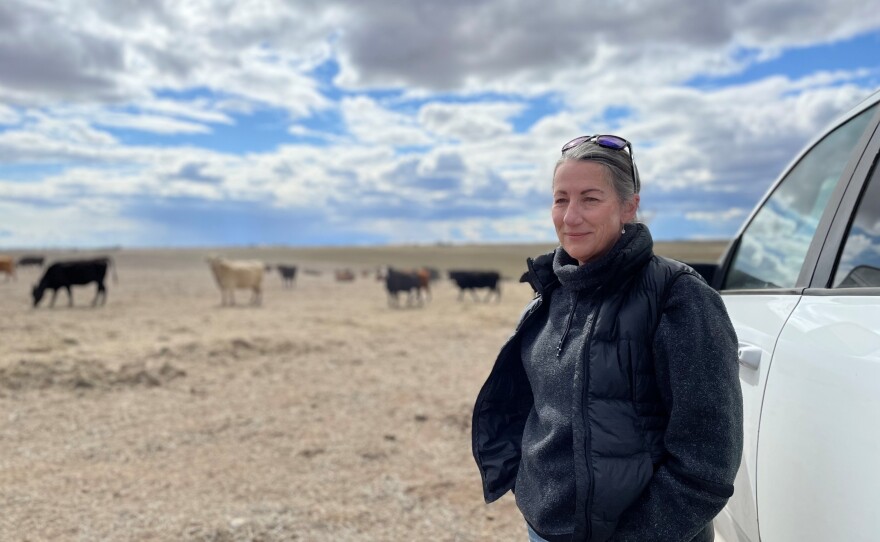 Jennifer Ellis, a rancher and lifelong Republican, helped form Take Back Idaho to push back against extremism in her home state