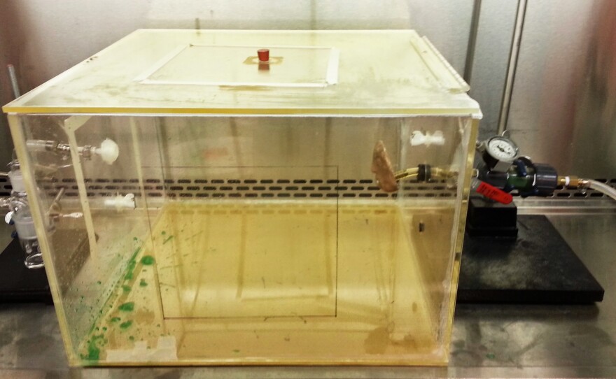 The vomit machine and vomit chamber.