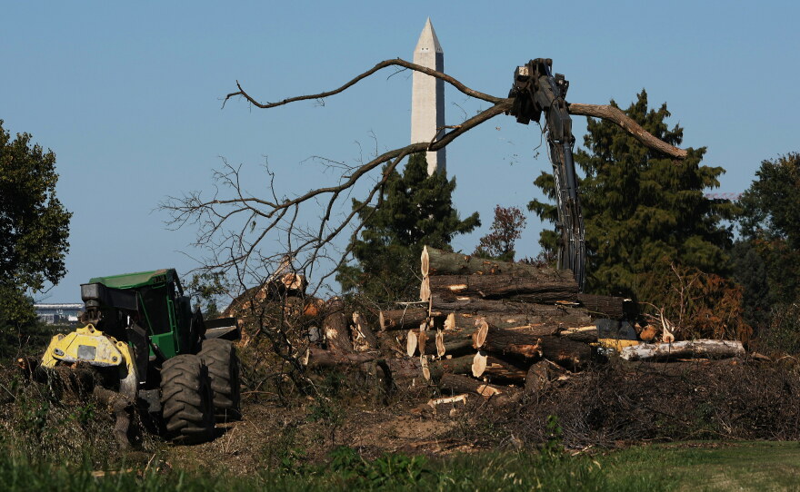 Workers remove downed trees from the East Potomac golf course on Monday.