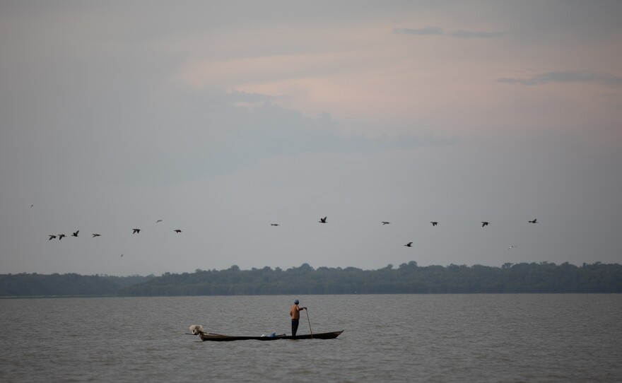 A riverside fisherman in his canoe on Lake Amanã on Nov. 15.