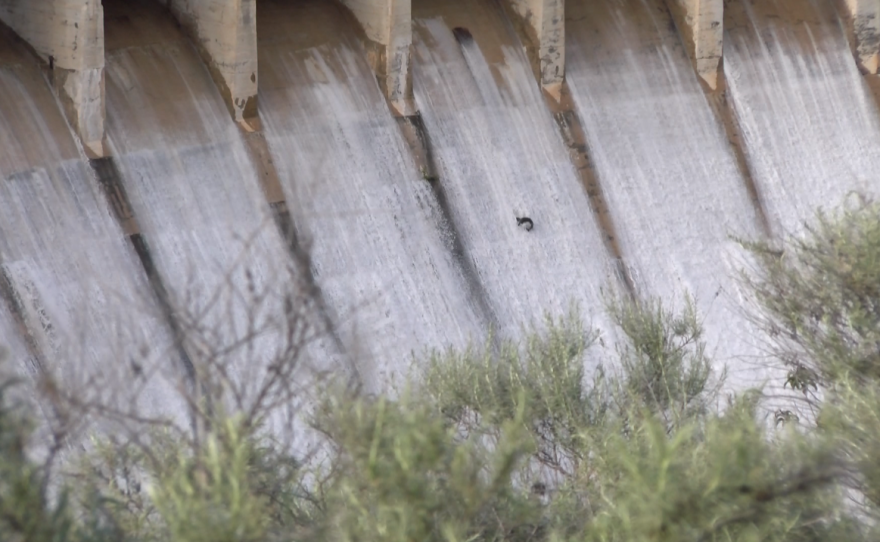 A fish spills through the floodgates on the Lower Otay Reservoir dam, Feb. 28, 2017.
