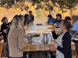 Baja Culinary Expedition - A Journey Through MICHELIN Guide Mexico 2025
