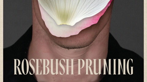 'Rosebush Pruning'