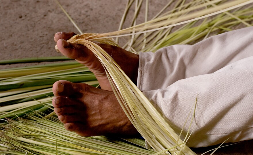 When the shoots of the toquilla palm are broken open they reveal a mass of greenish fibers — the "straw" from which the hats are made. After they've been split into fine threads, the fibers are briefly boiled, then hung out to dry.