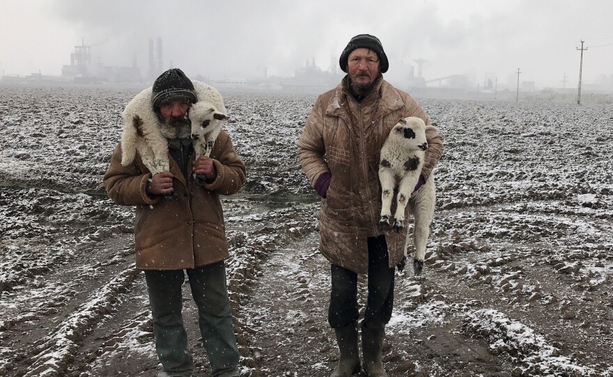 "Transylvanian Shepherds." Romania