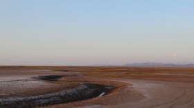 The Colorado River’s estuary has been deprived of freshwater flows due to overuse in the U.S. and Mexico in this undated photo.

