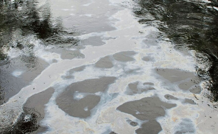 About 800,000 gallons of crude oil spilled into Michigan's Kalamazoo River last month.