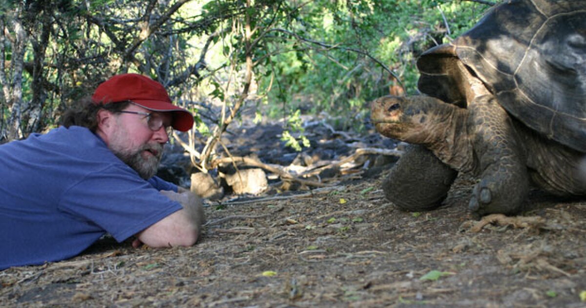 NOVA What Darwin Never Knew KPBS Public Media