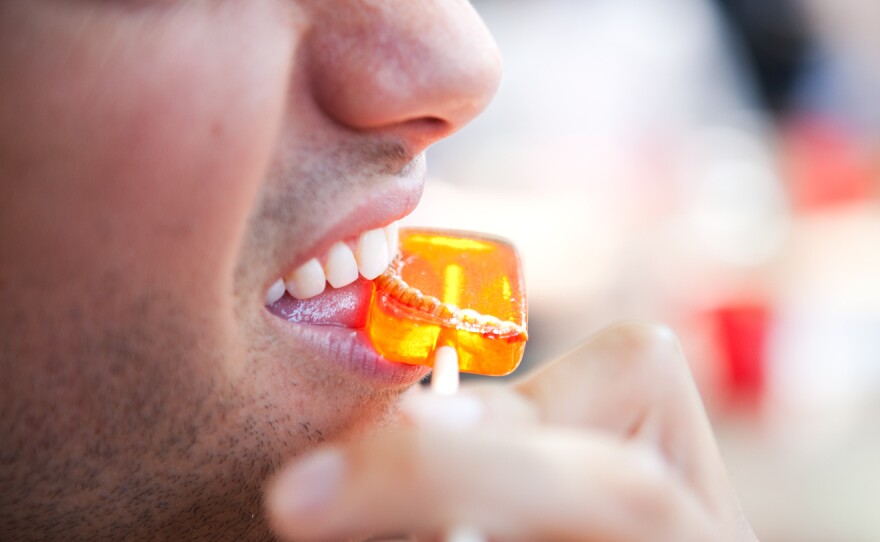 Matt Schnarr bites into a mealworm lollipop. The Pestaurant also had ant and cricket lollipops available to taste.
