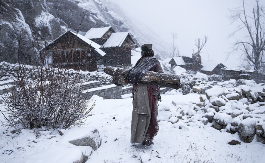 A Kinnaura tribal woman in a  village in Himachal Pradesh, a state in India's Himalayan highlands, carries a log for a home fire.