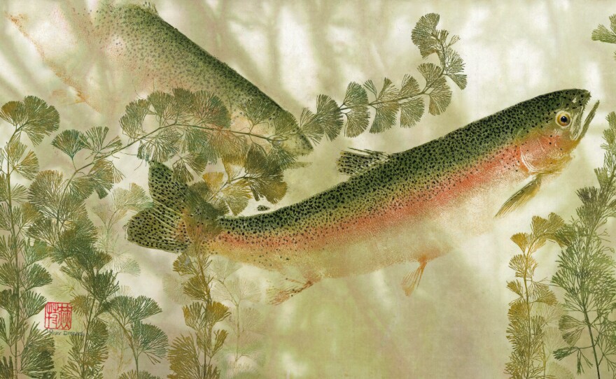 River Dreams Rainbow Trout