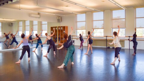 Movement in Magnitude: A Day of Dance Event