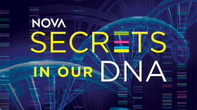 NOVA “Secrets In Our DNA” premieres Wednesday, Jan. 13, 2021.