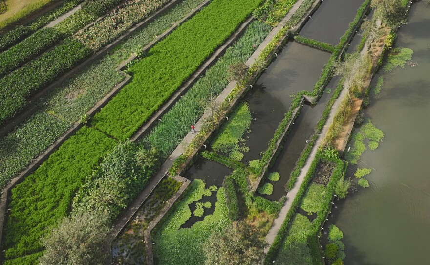 THE FUTURE OF NATURE "Humans"