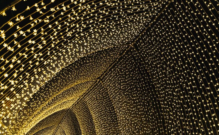 The "Winter Cathedral" installation in San Diego Botanic Garden's "Lightscape" is shown in an undated photo.