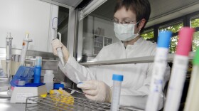A medical technician assistant analyzes a human saliva sample during the analysis for swine flu virus at the Bavarian federal state for health institute on May 4, 2009 in Oberschleissheim, Germany. The World Health Organization WHO has reported on Monday 985 confirmed cases of the virus, known to scientists H1N1 virus, in a total of 20 countries.