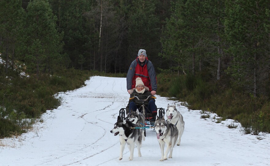 Mary Berry rides on the Husky sledge, Scotland.