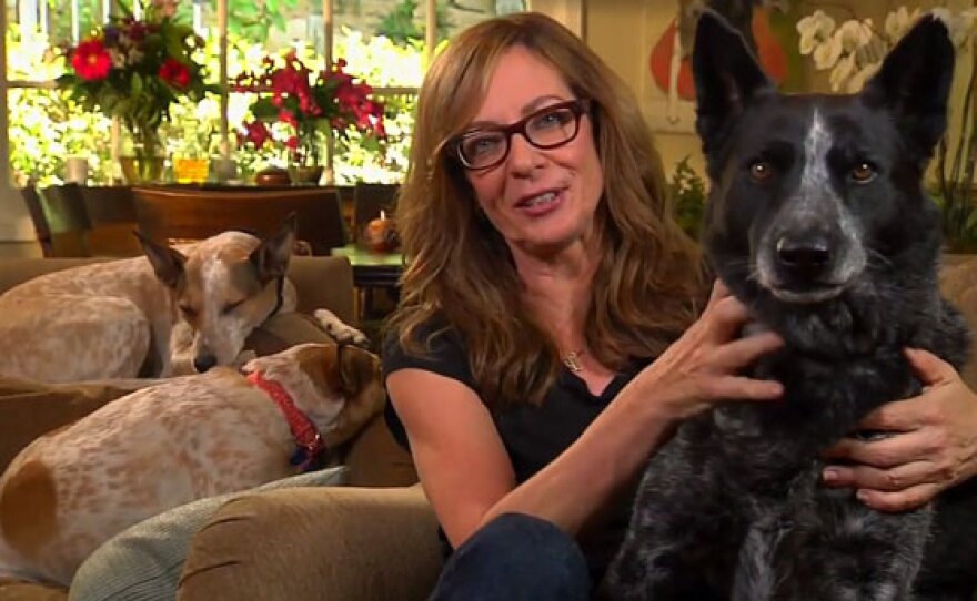SHELTER ME “New Beginnings” is hosted by Allison Janney. In this photo, Janney is sitting with her adopted dogs Dutch, Sippie and Addie.