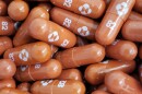 An experimental COVID-19 antiviral pill called molnupiravir from Merck & Co. and Ridgeback Biotherapeutics is being considered by the Food and Drug Administration for emergency use in the pandemic.