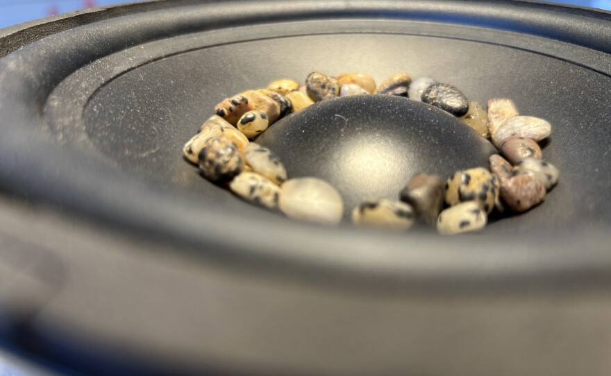 River rocks are just one of the items bouncing around in speaker cones at the Ess Whiteley: listening materials exhibit at the Athenaeum Art Center on Aug. 25, 2026.