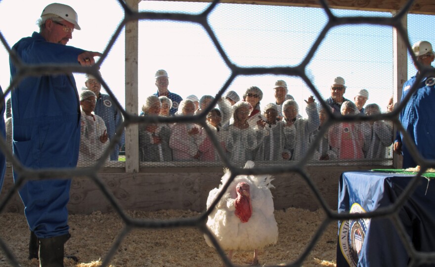 A class of fifth grade students from Eisenhut Elementary School in Modesto, Calif. cheered for their favorite turkey as Foster Farms staffers picked the prized bird for this year's turkey pardon.