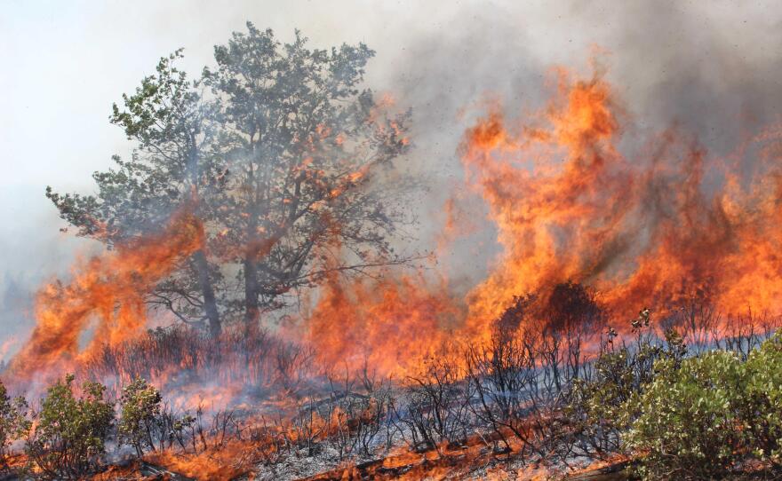 Flames from the Rim Fire sweep up along the South Flank, Aug. 30, 2013.