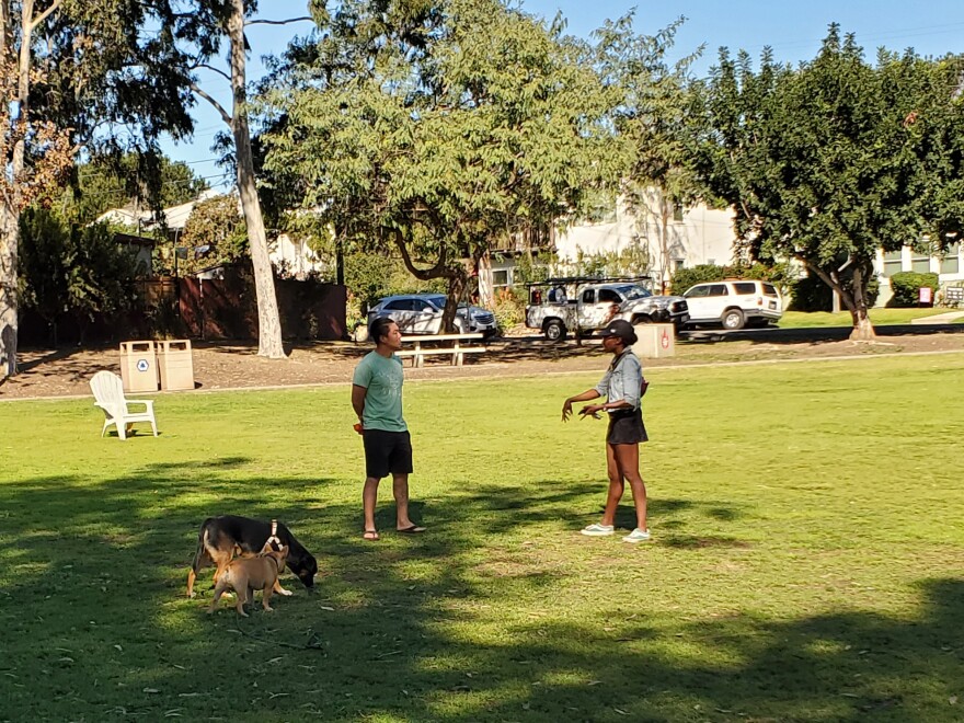 Dogs play off leash at Trolley Barn Park in University Heights, Feb. 10, 2022.