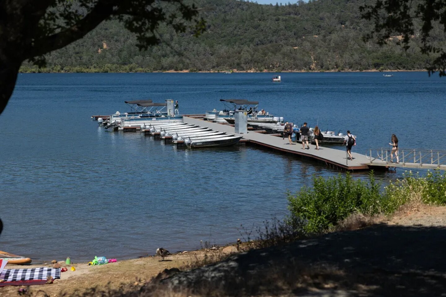 Boats at a dock at Collins Lake.