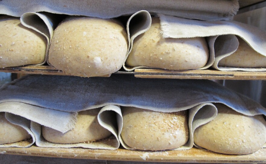 Loaves rising in linen couches at Della Fattoria Cafe in Petaluma, Calif. The cafe "is known for its dark, Italian sourdough loaves baked in two massive wood-fired ovens," Fromartz writes.