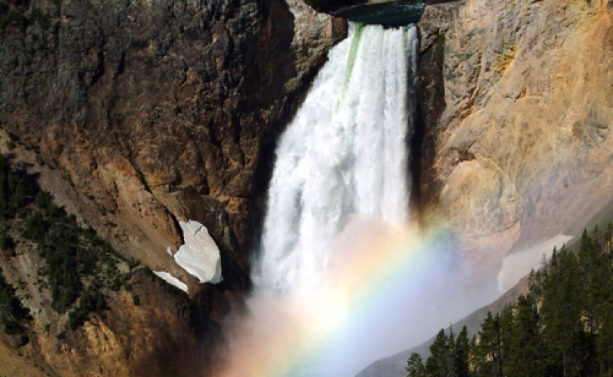 Falls of the Yellowstone River in Yellowstone National Park.