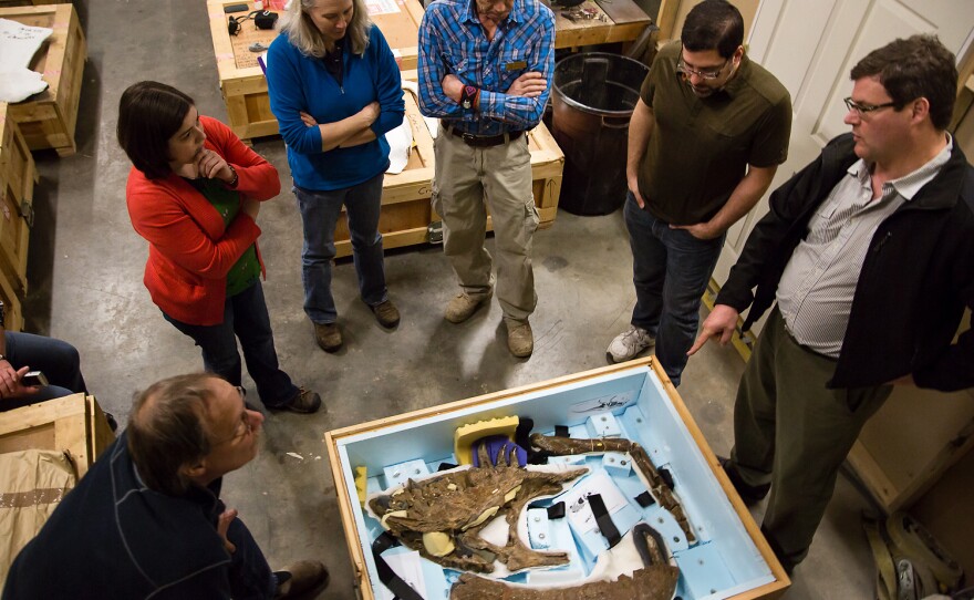 Scientists and others take one last look at the Wankel's bones before they make their way to Washington, D.C.