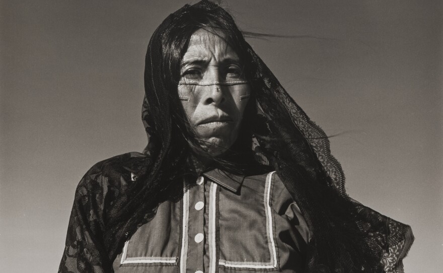 Angelita, Sonoran desert.