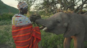 Mpayon Loibotong'u and elephant
