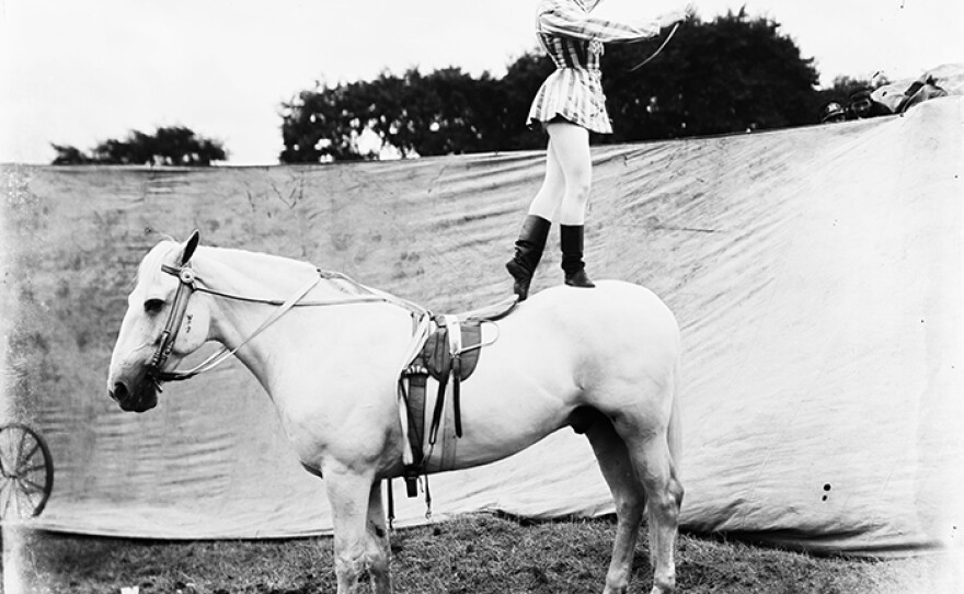 Equestrian standing on back of horse, circa 1903.
