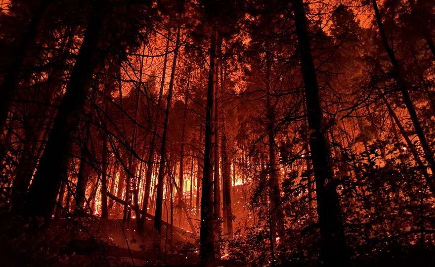 The Caldor Fire burns south of Grizzly Flats on August 15, 2021.