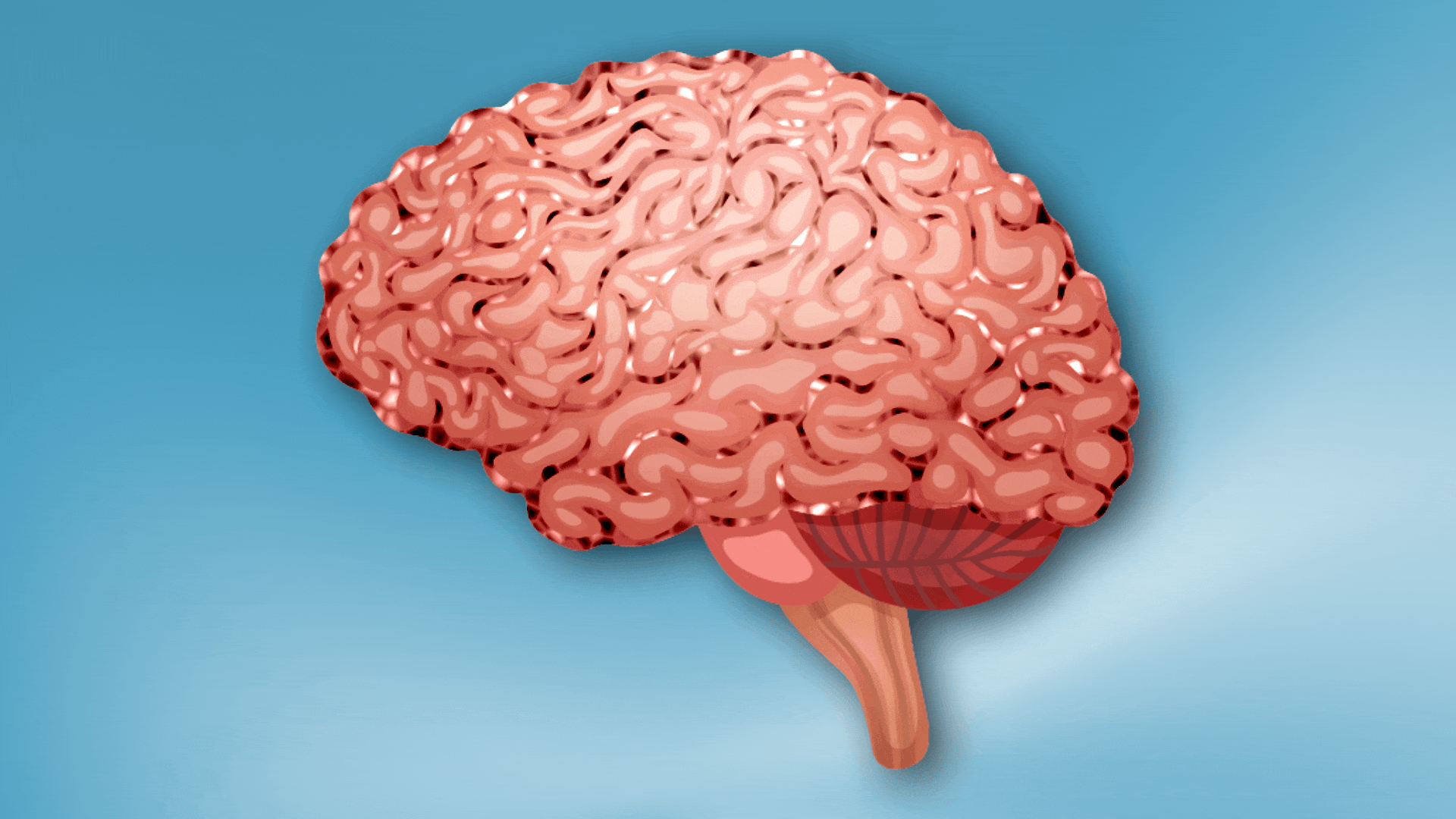 The image is an illustration showing neural pathways in the brain.