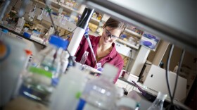 This undated photo shows a woman working in a lab. 