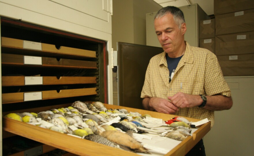 Dead birds. Millions of birds, evolved to navigate by the stars, crash into brightly-lit city buildings each year during migration season. This raises the question: Do humans also need the dark?