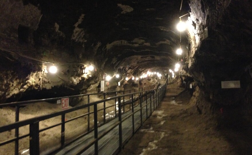 The Permafrost Tunnel Research Facility, dug in the mid-1960s, allows scientists a 3D look at frozen ground.