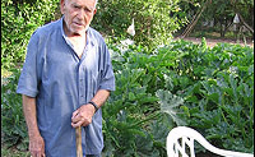 Iakovos Tzanakis, 85, works in his garden in the evening, when it cools off. He has worked and napped his entire life. Some say his generation might be the last to follow healthy midday napping practices.