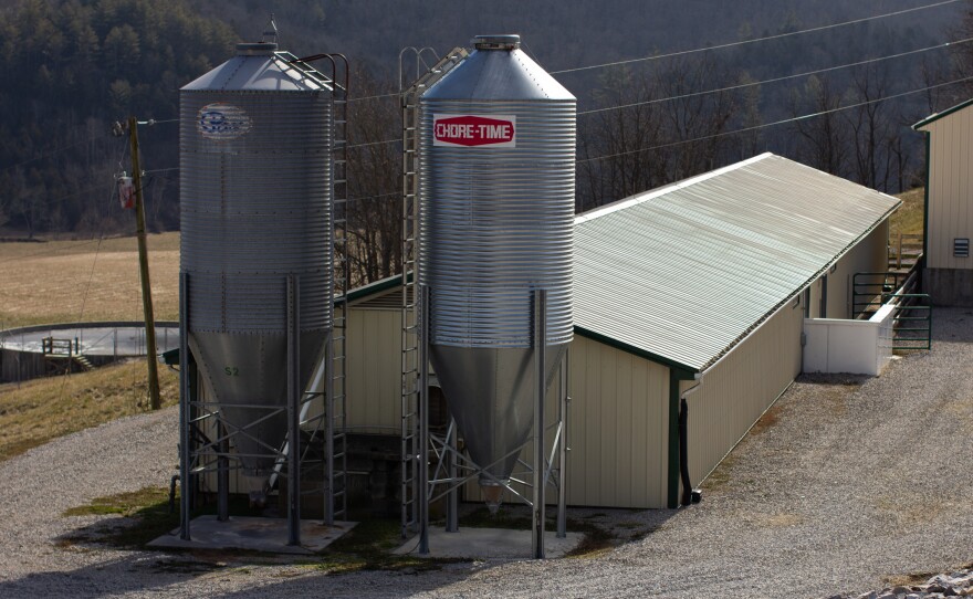 Metal barns are home to pigs raised for organ research at the Revivicor farm in Montgomery County, Virginia.