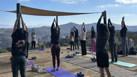 Connect to Nature: Yoga + Guided Hike Series