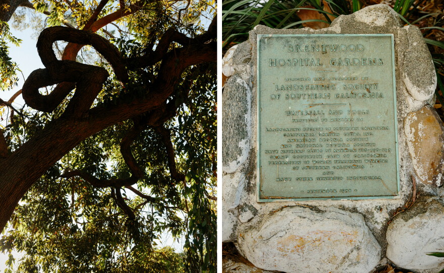 A mature tree; signage from September 1958 crediting the groups that created the garden.
