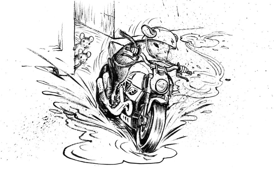 Cleary says she wrote <em>The Mouse and the Motorcycle </em>for her son. "He was in about the third grade and was disillusioned with school and reading and I said, 'Well, what would you like to read about?' And he said: 'Motorcycles.'"