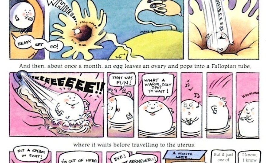 Michael Emberley's illustrations, like this one showing an egg traveling through a fallopian tube, make sexual health information accessible to an elementary and middle school audience. But elements of the art, including naked bodies, make some parents uncomfortable.
