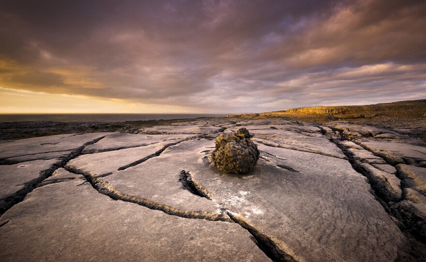 Cracks in the limestone of the Burren. County Clare, Ireland.