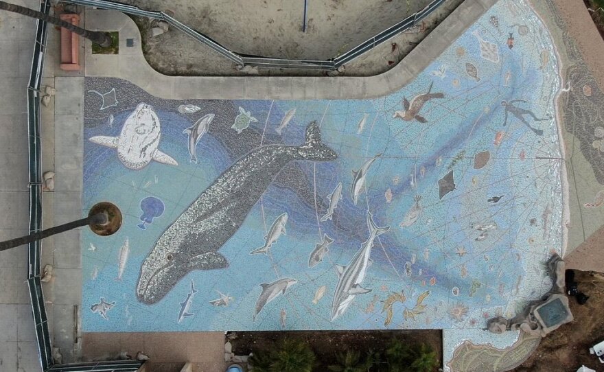 An undated aerial photo of The Map of the Grand Canyons of La Jolla Mosaic at the Walter Munk Educational Plaza in Kellogg Park, La Jolla.